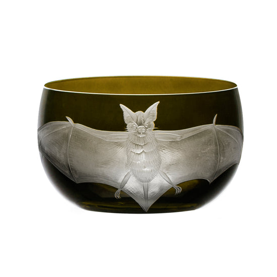 Cabinet of Curiosities Bat