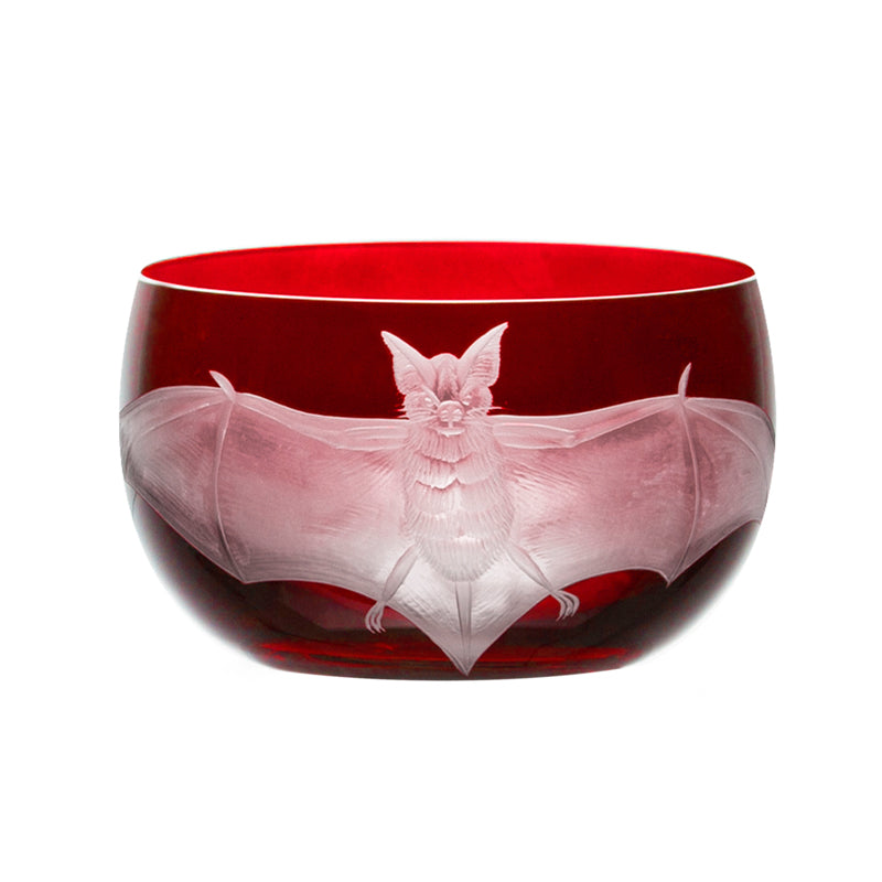 Cabinet of Curiosities Bat