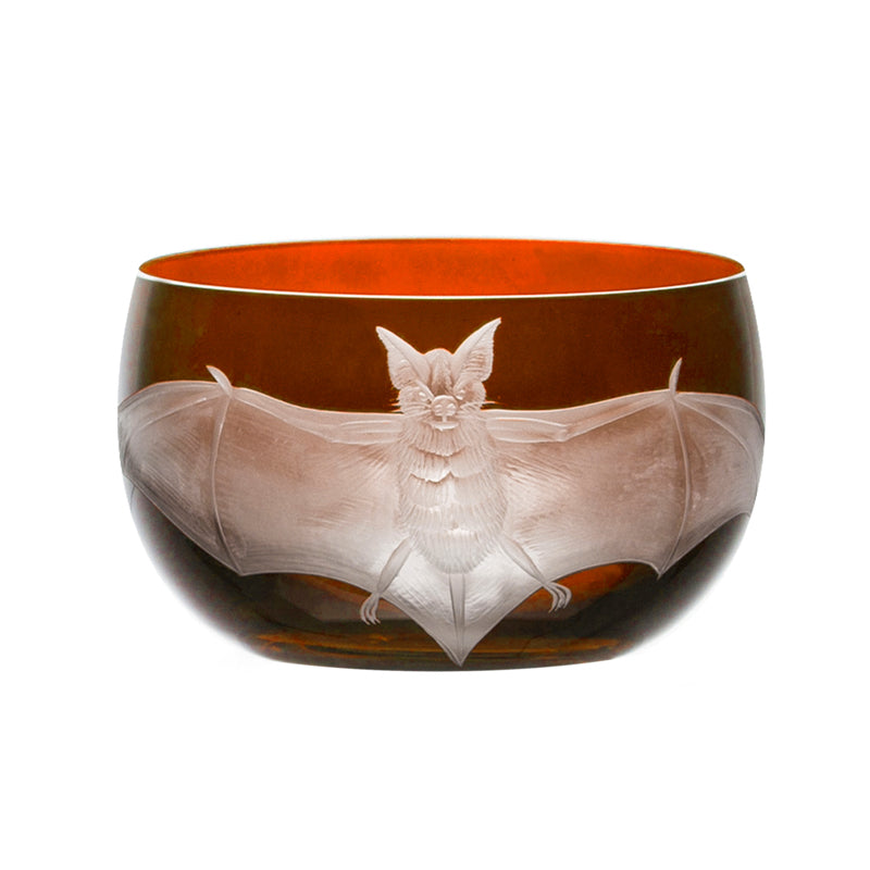 Cabinet of Curiosities Bat