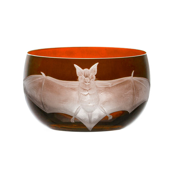 Cabinet of Curiosities Bat