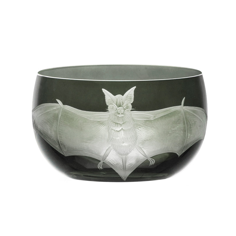 Cabinet of Curiosities Bat