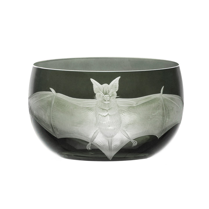 Cabinet of Curiosities Bat