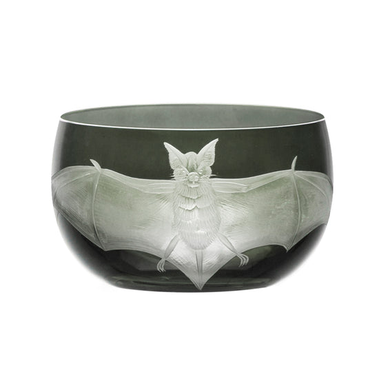 Cabinet of Curiosities Bat
