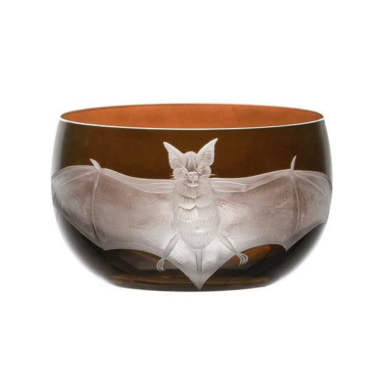 Cabinet of Curiosities Bat