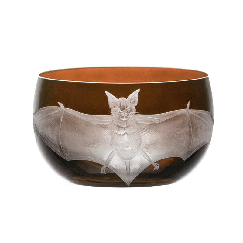 Cabinet of Curiosities Bat