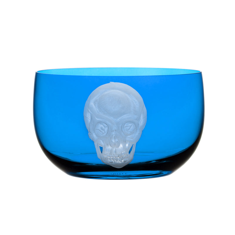 Cabinet of Curiosities Skull