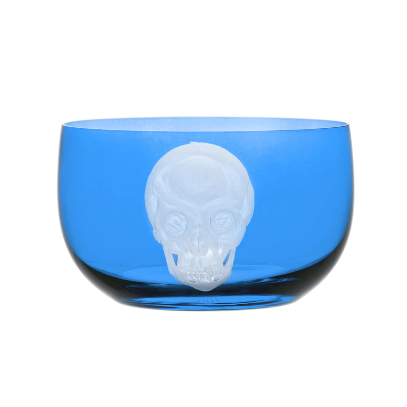 Cabinet of Curiosities Skull