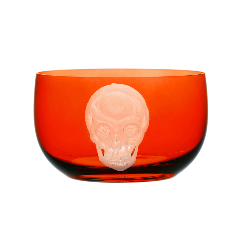 Cabinet of Curiosities Skull