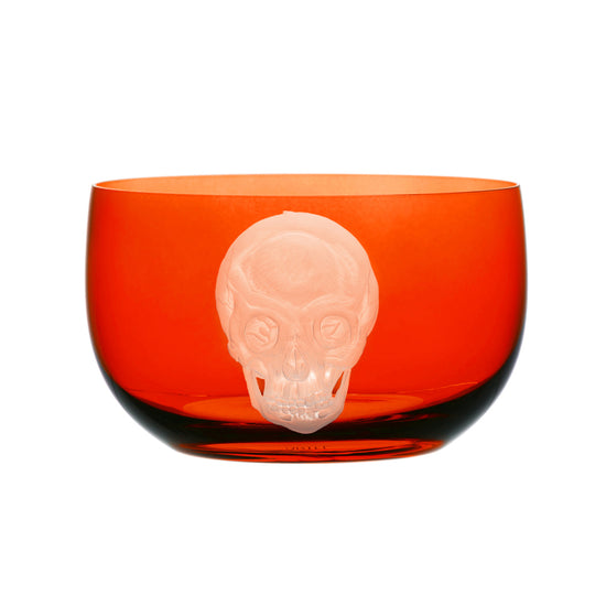 Cabinet of Curiosities Skull