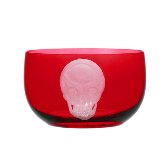 Cabinet of Curiosities Skull