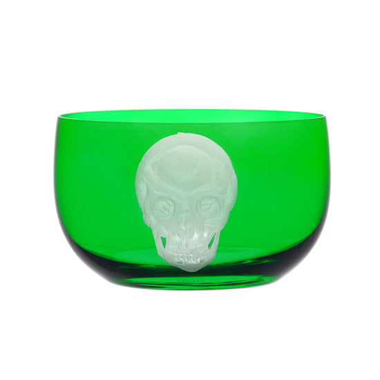 Cabinet of Curiosities Skull