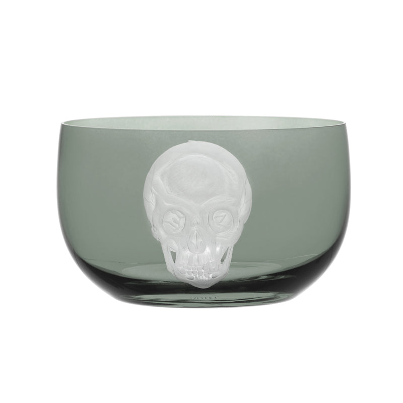 Cabinet of Curiosities Skull