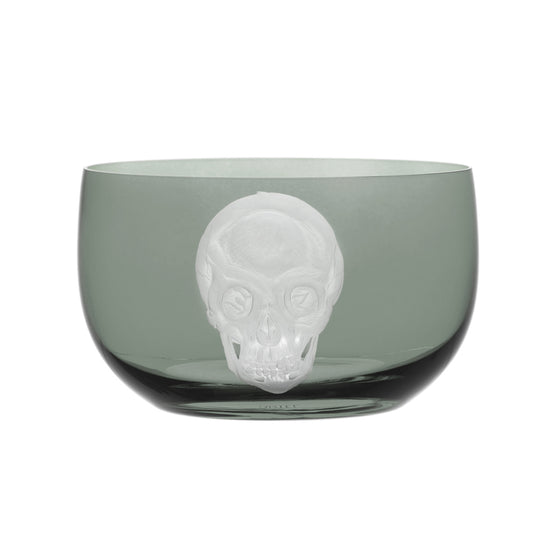 Cabinet of Curiosities Skull