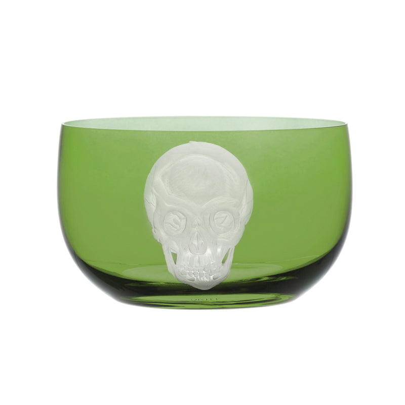 Cabinet of Curiosities Skull
