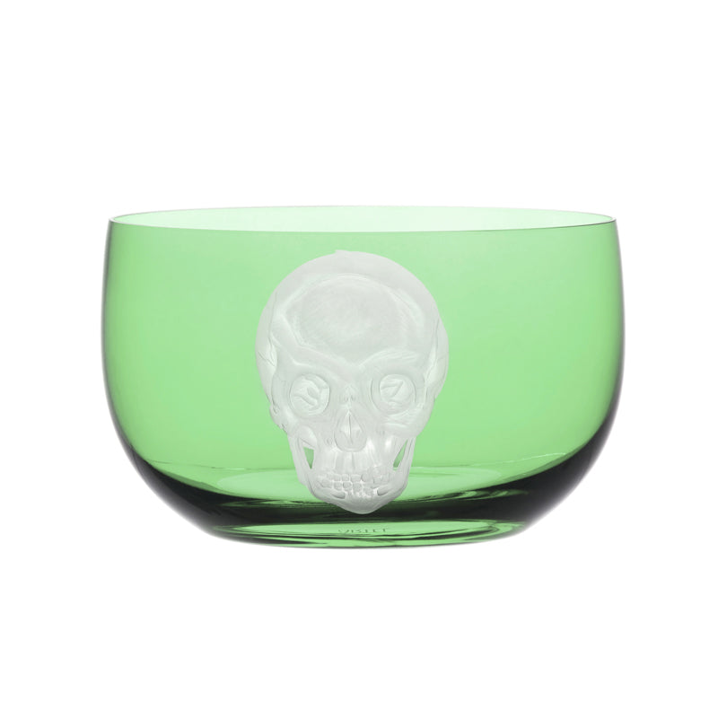 Cabinet of Curiosities Skull