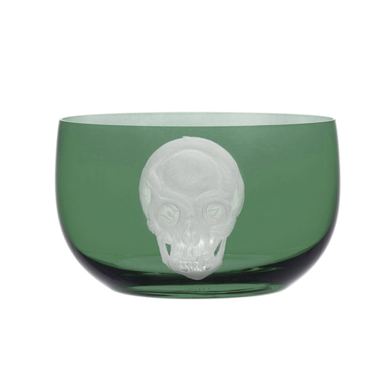Cabinet of Curiosities Skull