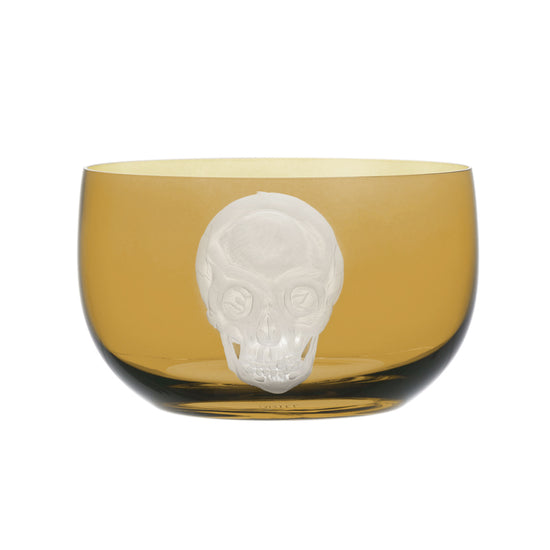 Cabinet of Curiosities Skull