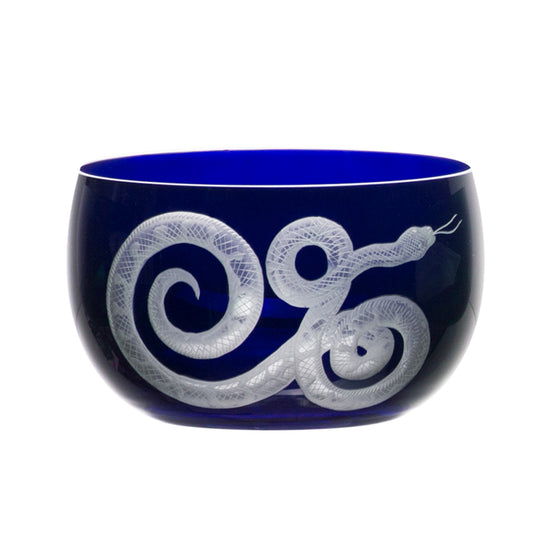 Cabinet of Curiosities Snake