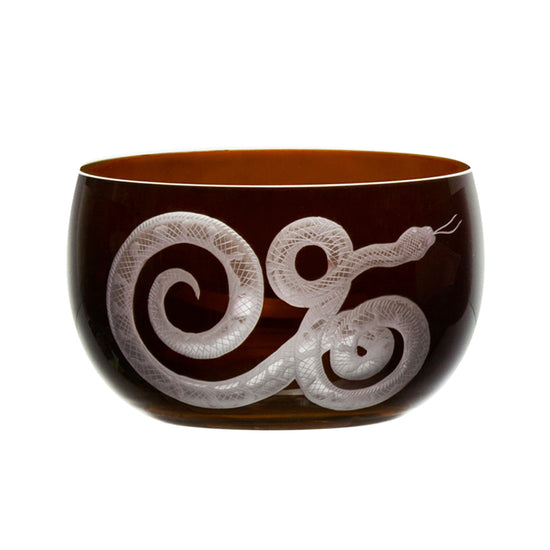 Cabinet of Curiosities Snake