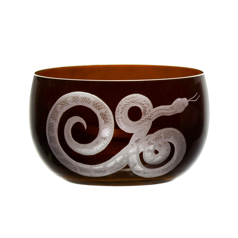 Cabinet of Curiosities Snake