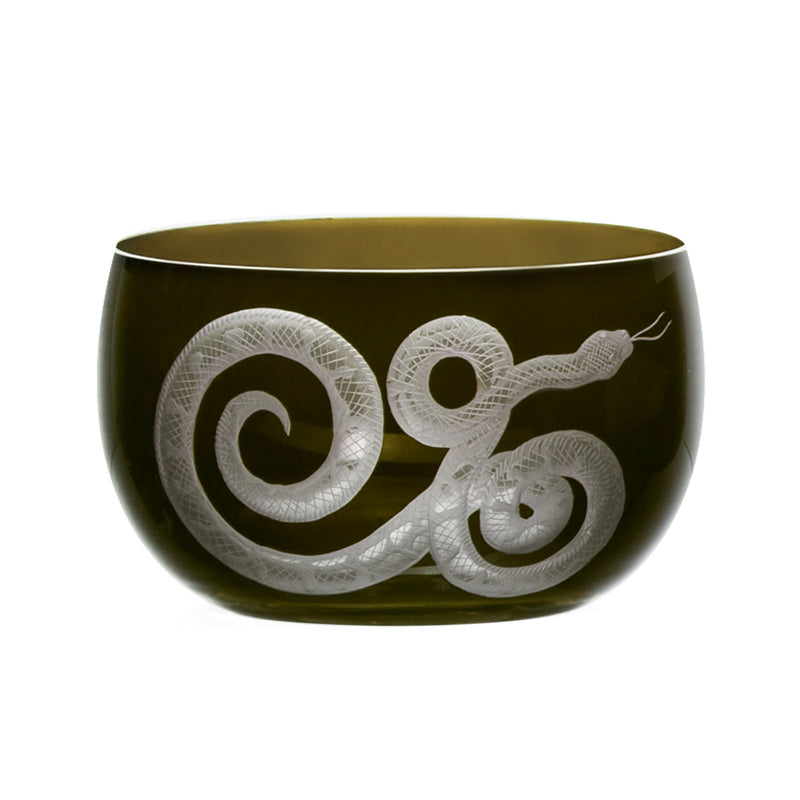 Cabinet of Curiosities Snake