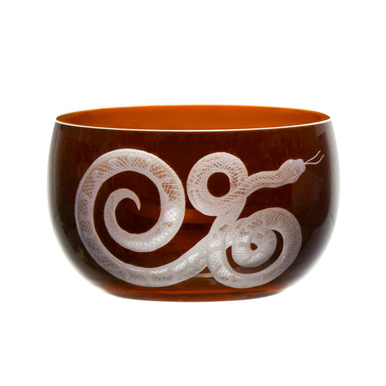 Cabinet of Curiosities Snake