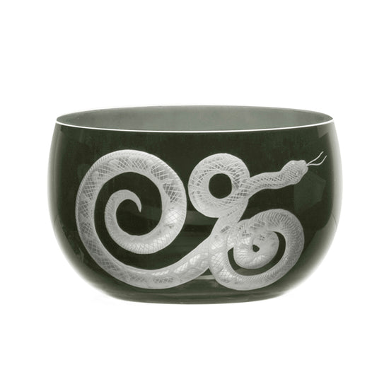 Cabinet of Curiosities Snake