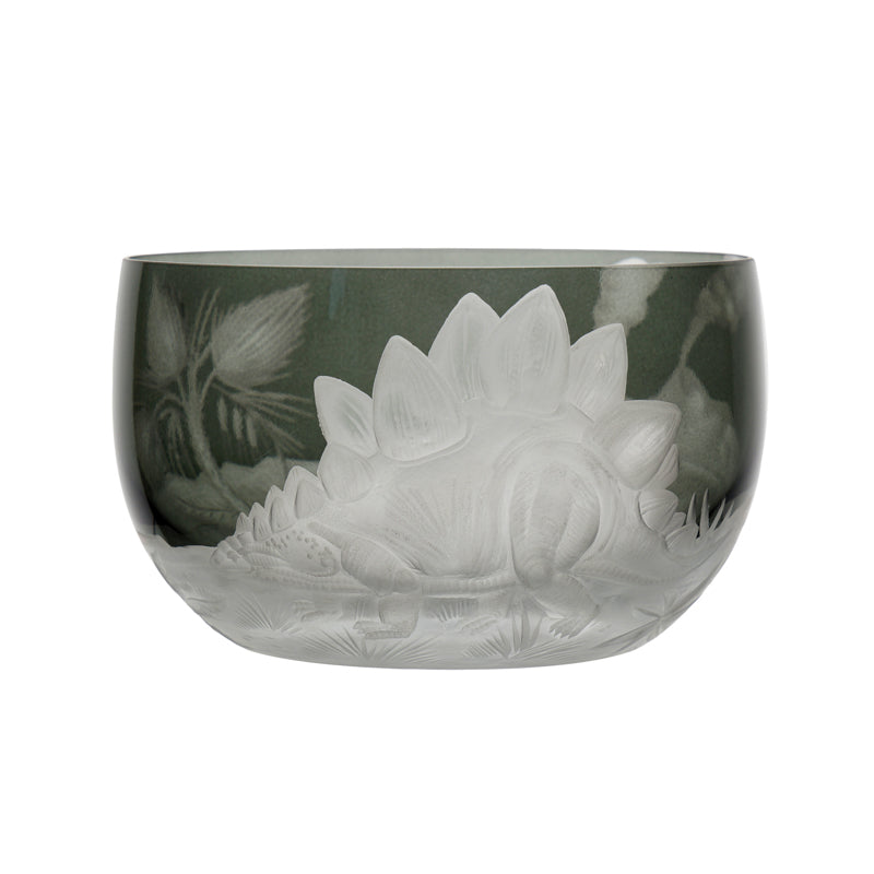 Dinosaur Collection 2 Stegosaurus with Background