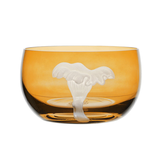 Mushrooms Chanterelle