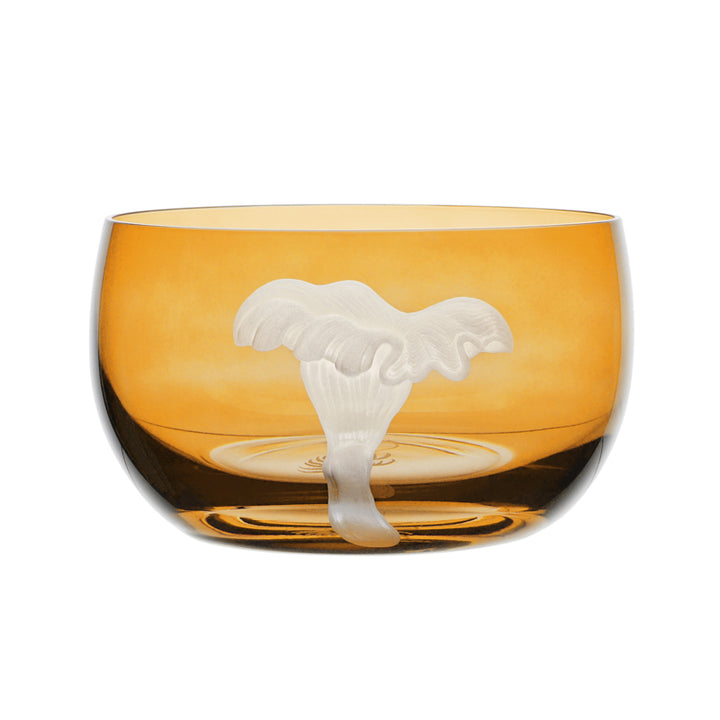 Mushrooms Chanterelle