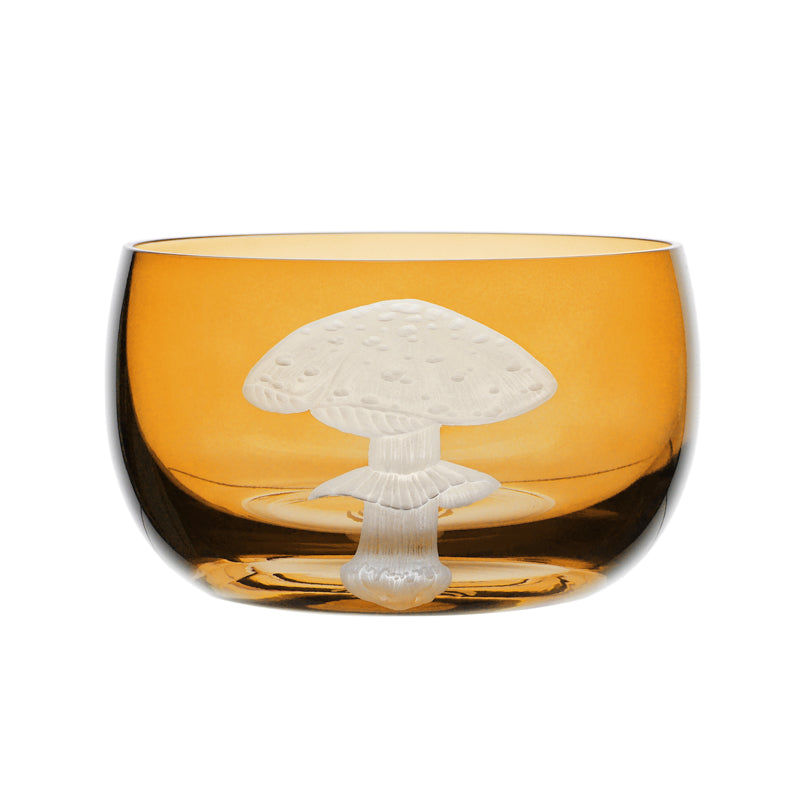 Mushrooms Fly Amanita