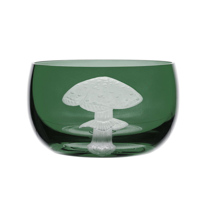 Mushrooms Fly Amanita