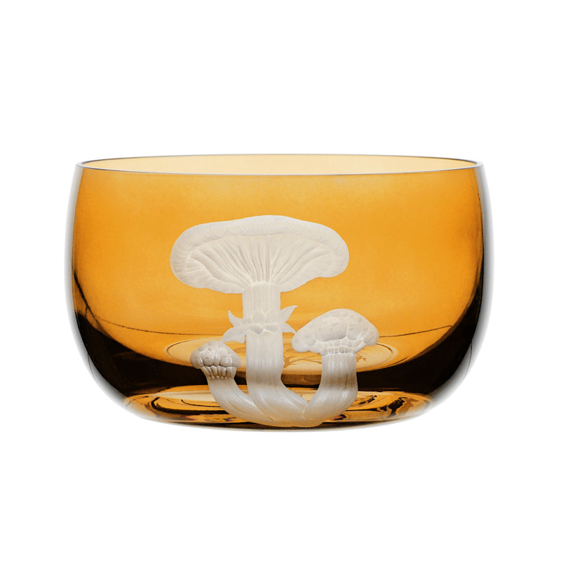 Mushrooms Honey Fungus