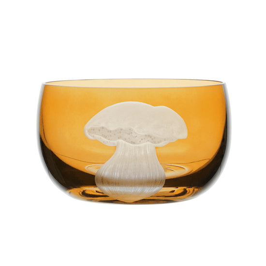 Mushrooms Summer Cep