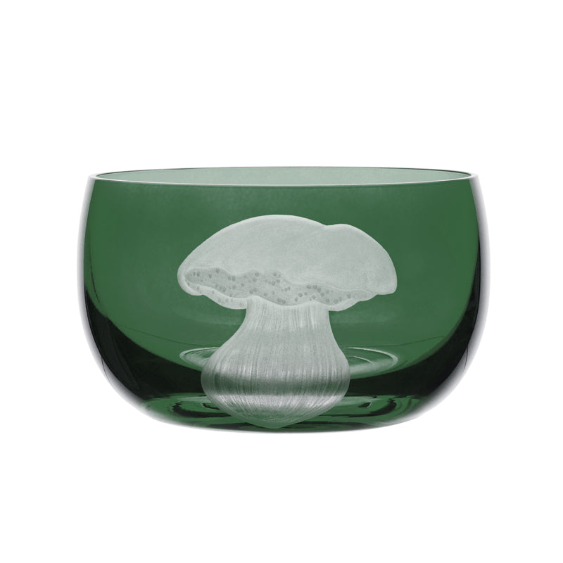 Mushrooms Summer Cep