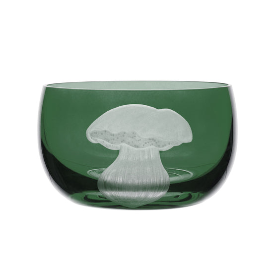 Mushrooms Summer Cep