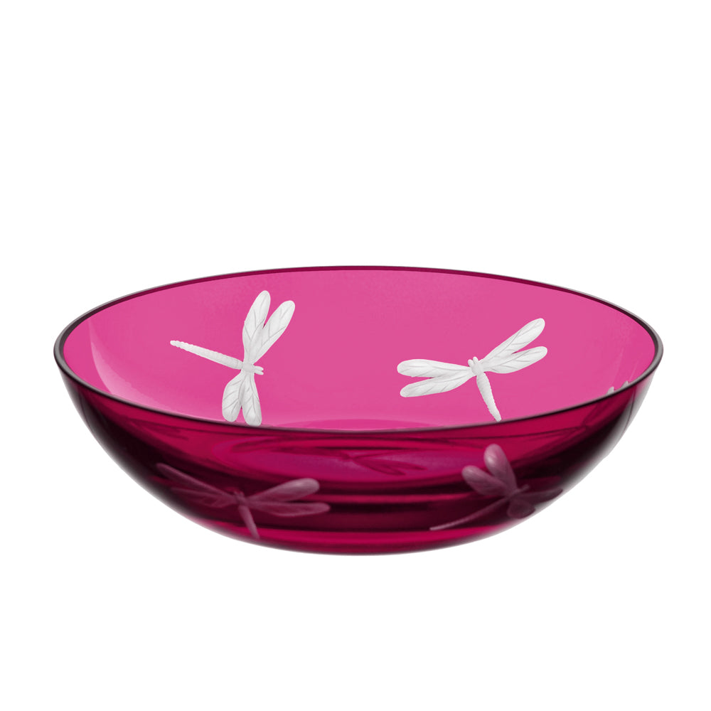 Fly Fusion Dragonfly