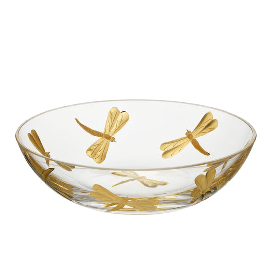 Fly Fusion Dragonfly