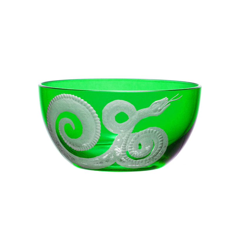 Cabinet of Curiosities Snake