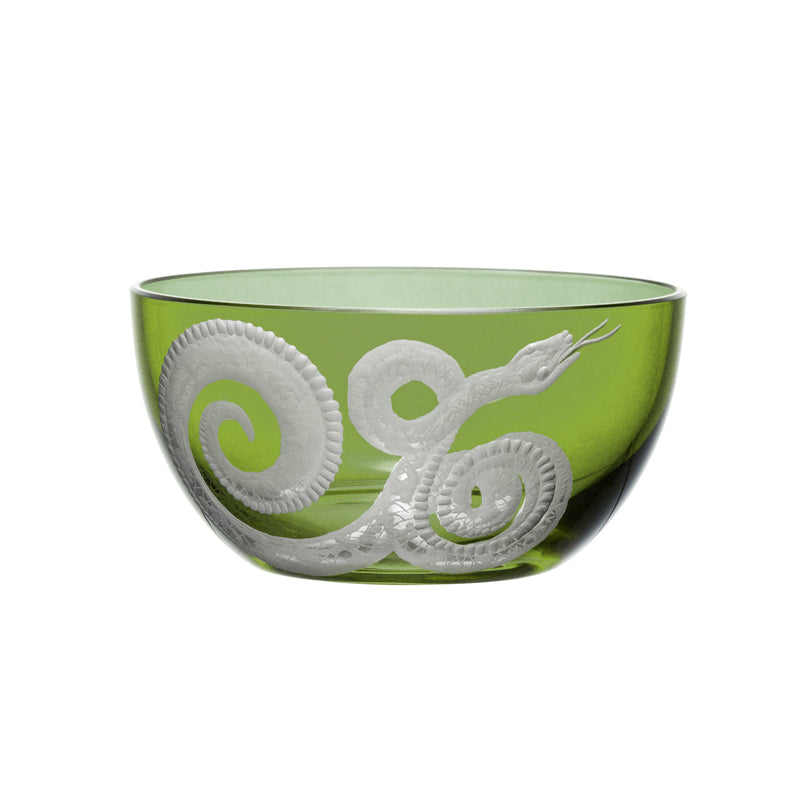 Cabinet of Curiosities Snake