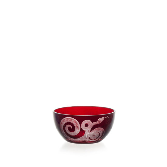 Cabinet of Curiosities Snake