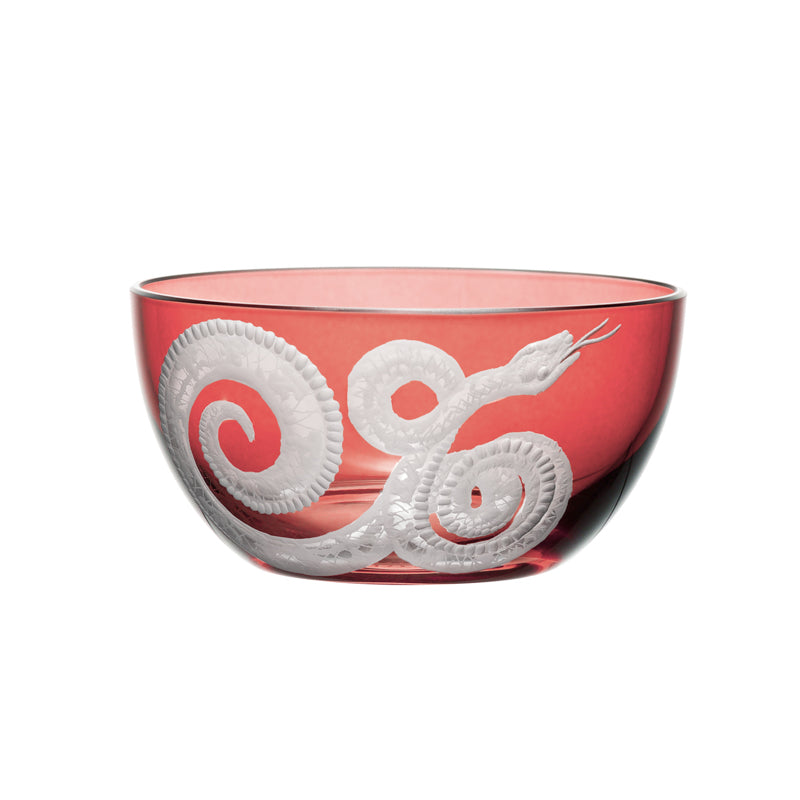 Cabinet of Curiosities Snake