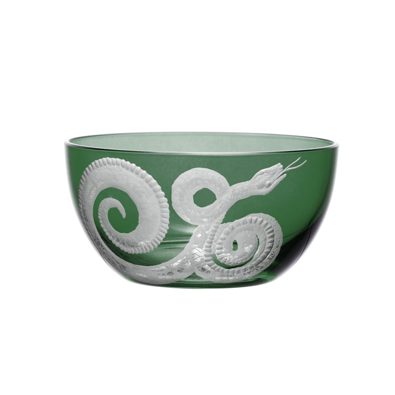 Cabinet of Curiosities Snake