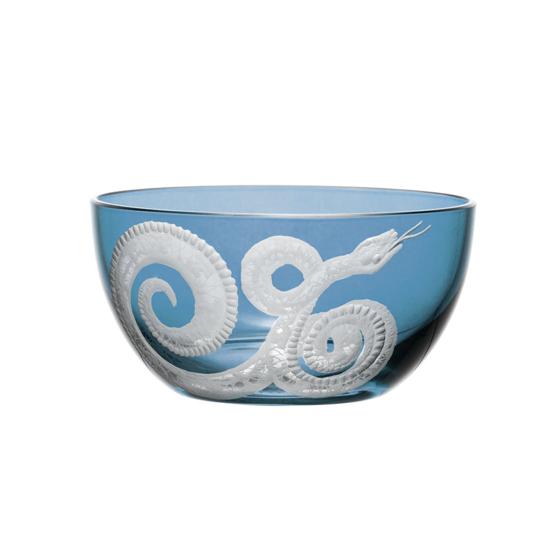 Cabinet of Curiosities Snake