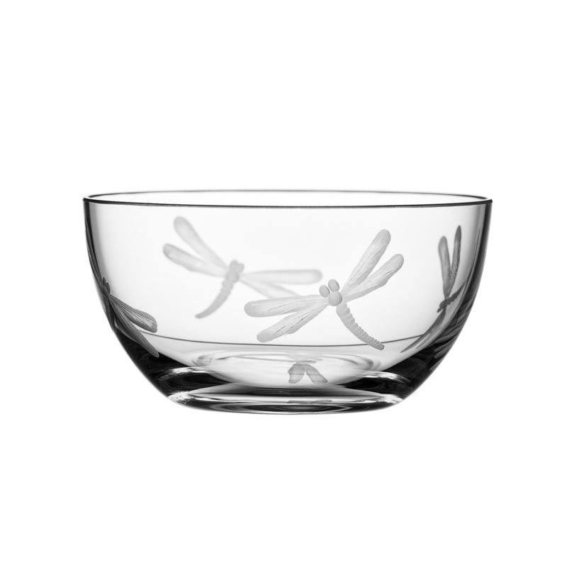 Fly Fusion Dragonfly