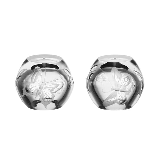 Fly Fusion Butterfly