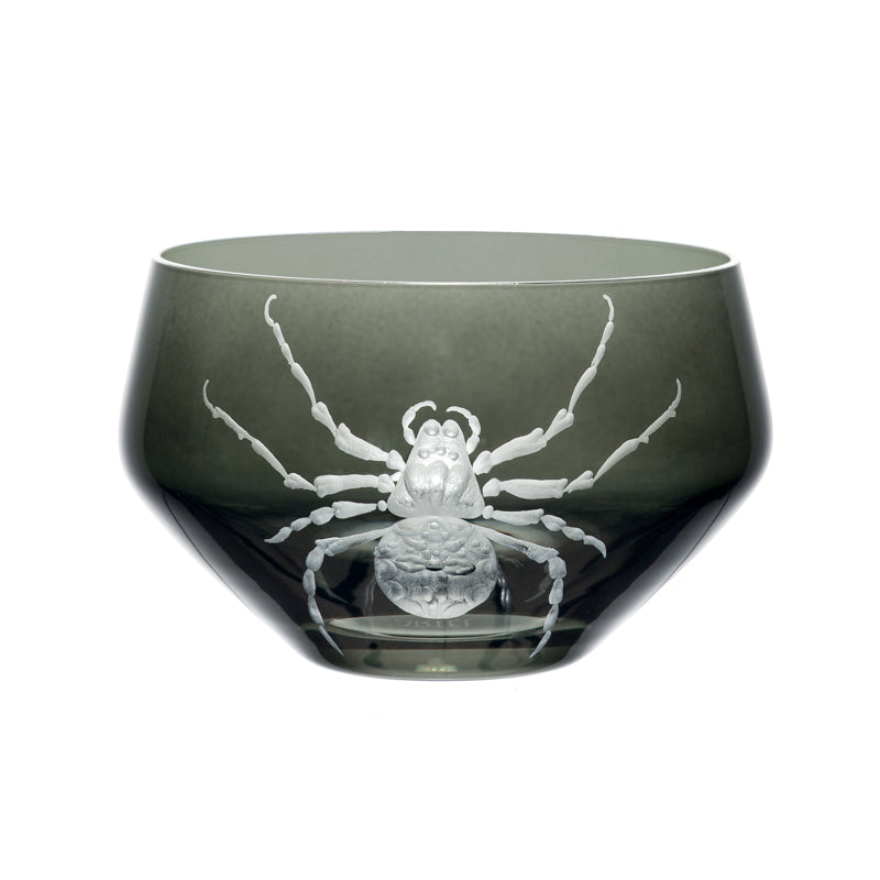 Cabinet of Curiosities Spider