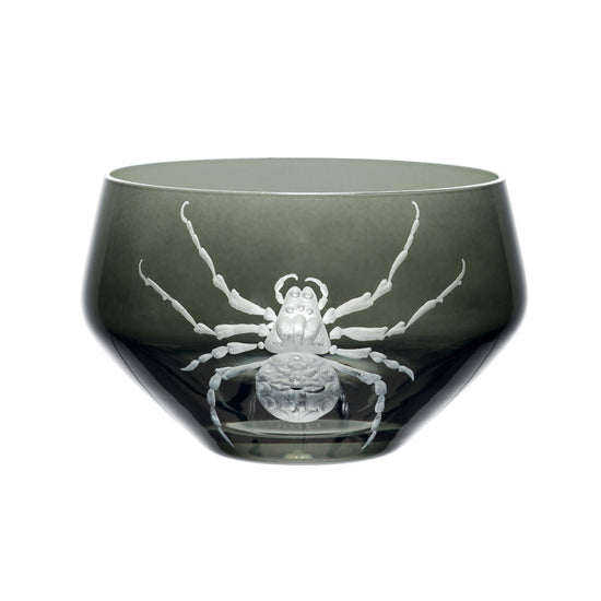 Cabinet of Curiosities Spider