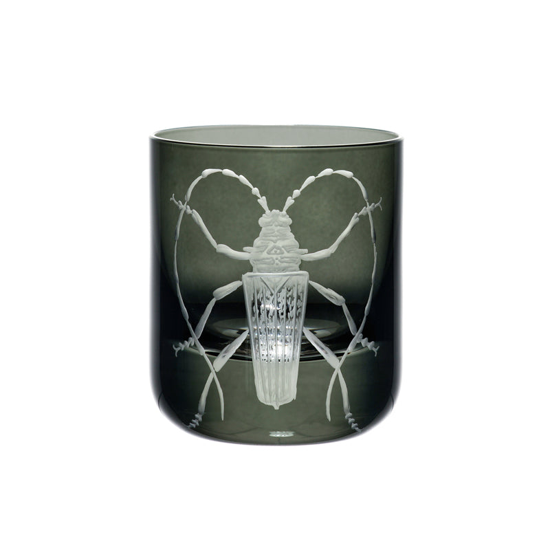 Cabinet of Curiosities Butterfly