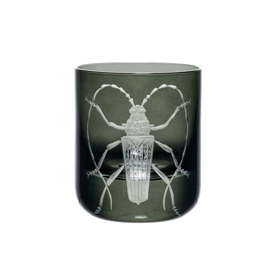 Cabinet of Curiosities Butterfly